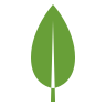 mongoDB